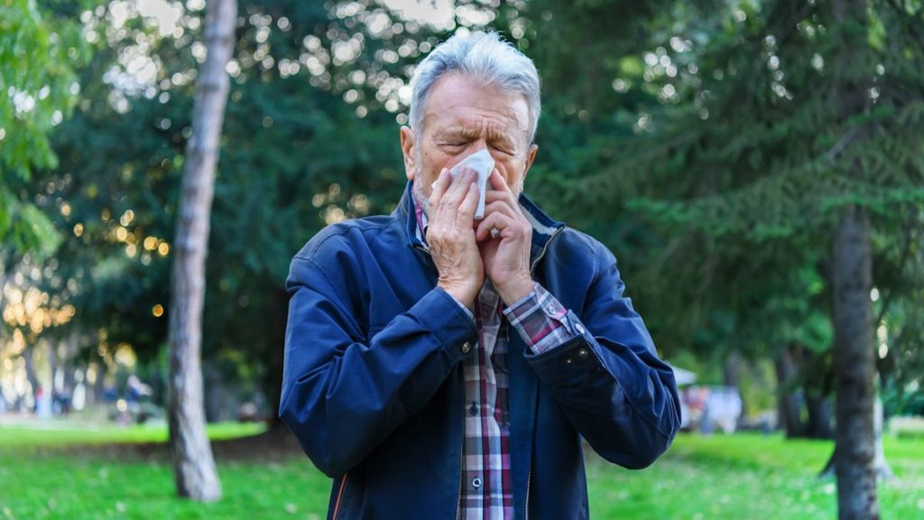 Top 10 ‘allergy capitals’ of the US, plus 4 tips to manage symptoms
