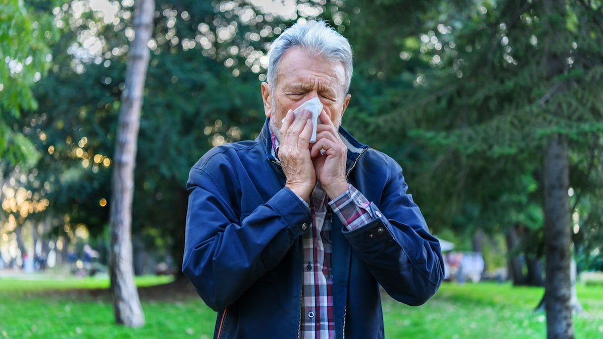Top 10 'allergy capitals' of the US, plus 4 tips to manage symptoms  at george magazine