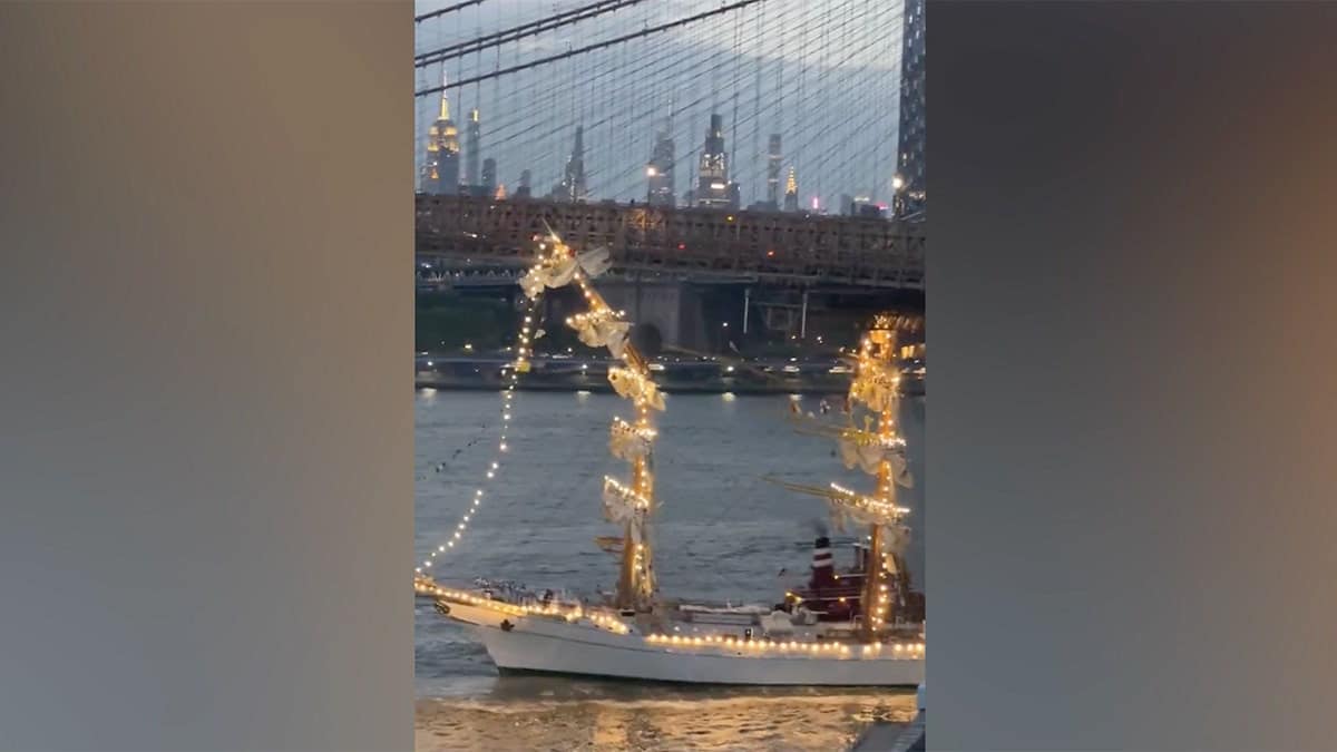 Massive sailing vessel collides with Brooklyn Bridge in dramatic NYC crash caught on camera  at george magazine
