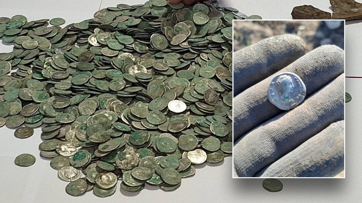 Man stumbles across hoard of priceless coins while out for nature walk: 'Face to face with history'  at george magazine