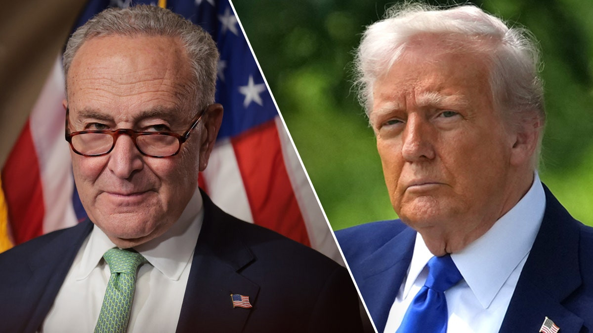 Schumer fields bill in bid to scuttle Trump's Qatar plane plans  at george magazine