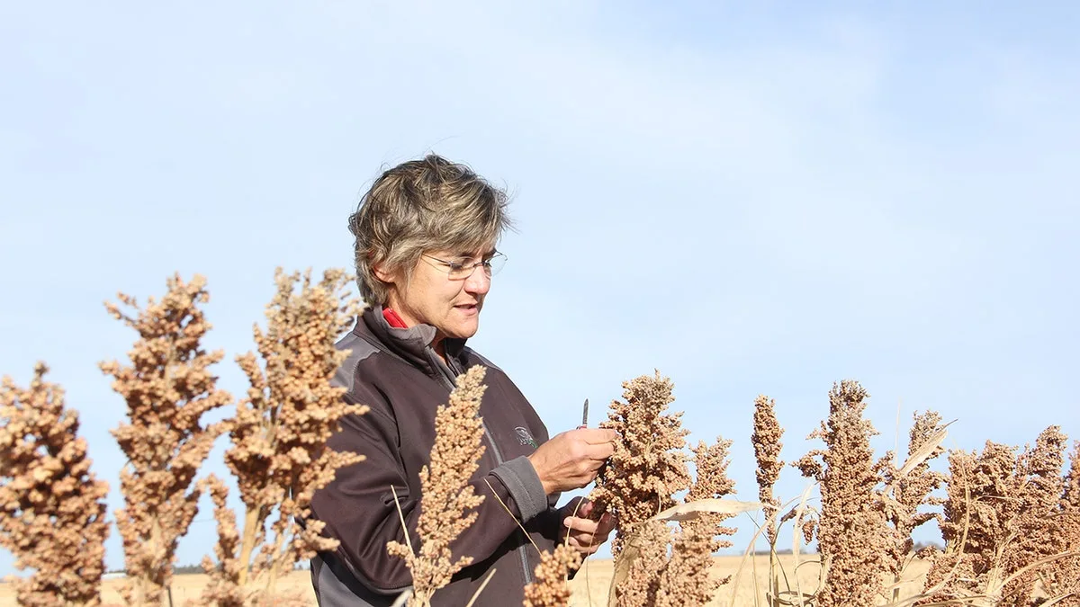 Protein-packed American-grown rice alternative has twice the amount as quinoa  at george magazine