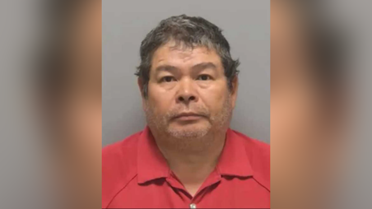 Florida man arrested for shooting neighbor's pregnant cow after it wandered onto his property  at george magazine