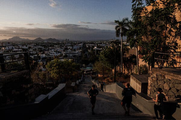 Cartel Fighters Make a Desperate Alliance That Could Transform Underworld
