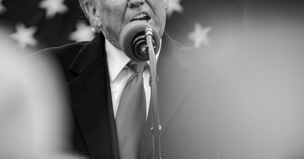 We Are Being Governed by the Trump Organization Inc.  at george magazine