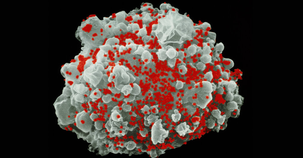 Used in Covid Shots, mRNA May Help Rid the Body of H.I.V.  at george magazine