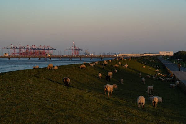 Germany Embraces LNG as It Weans Itself Off Russian Gas  at george magazine