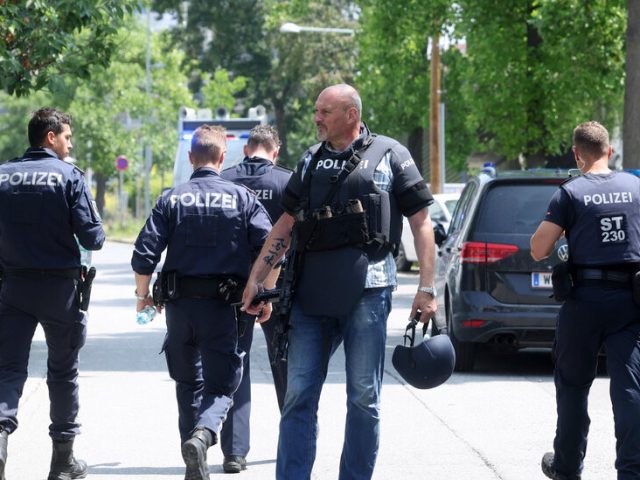 Austria Has Lots of Guns, Little Gun Violence, and New Questions