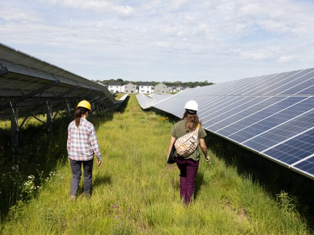 Senate Proposal Ends Tax Cuts for Clean Energy, Disappointing Climate Advocates