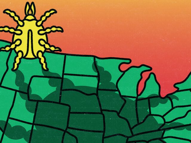 The Tick Situation Is Getting Worse