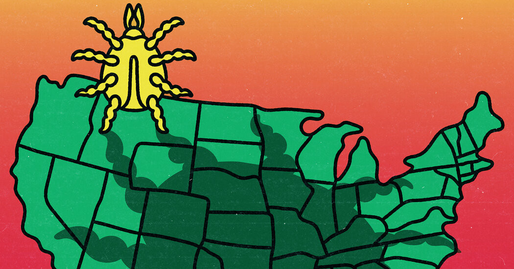 The Tick Situation Is Getting Worse  at george magazine