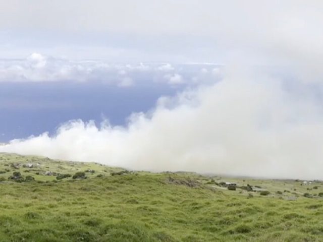 Fire in Maui Grows to 500 Acres, Prompting Evacuations