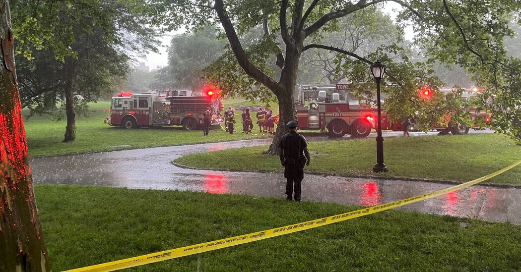 Boy, 15, Survives Lightning Strike in Central Park, Police Say  at george magazine