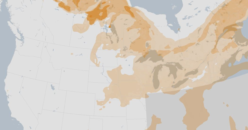 Air Quality in Toronto and Montreal Suffers From Canada’s Wildfire Smoke  at george magazine