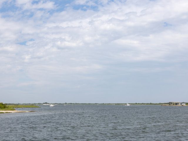 Woman Was ‘Most Likely’ Bitten by Shark at Jones Beach, Scientists Say