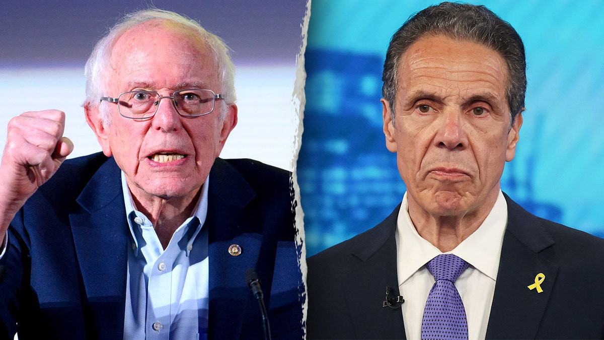 Sanders endorses socialist Mamdani in move to block Cuomo in NYC mayoral race  at george magazine