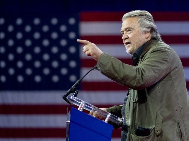 Steve Bannon says Elon Musk should be deported ‘immediately’