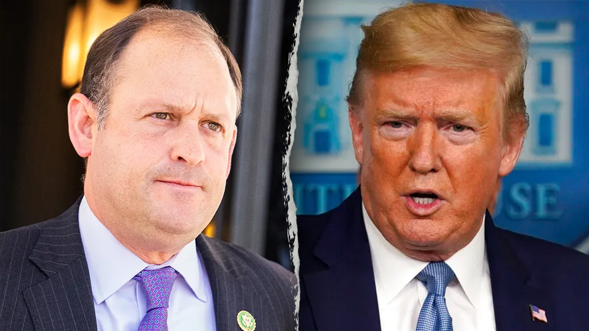 Republican introduces amendment to end birthright citizenship ‘once and for all’  at george magazine