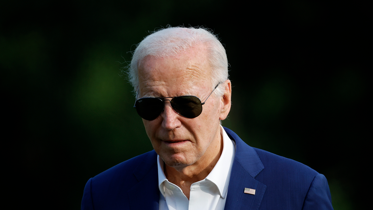 Former Clinton campaign manager laments 'leaderless' state of Dems as Biden remains 'off the radar'  at george magazine