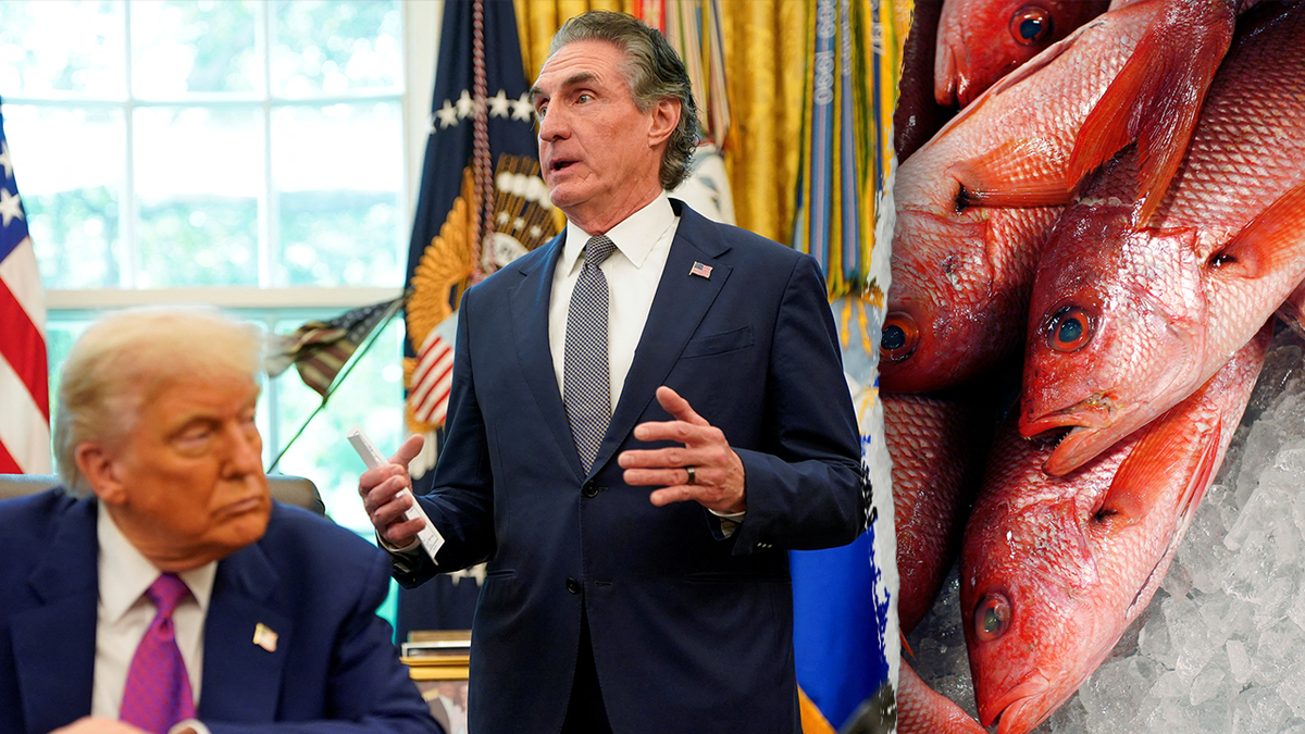 Interior cancels $14M annual fishing grant cited in Fox report after DOGE highlights Disney ads, salaries  at george magazine