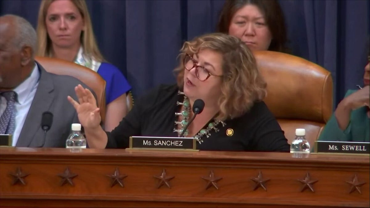 Democrat Congresswoman draws boos over 'shameful' sexism remark in committee hearing with Treasury Secretary  at george magazine
