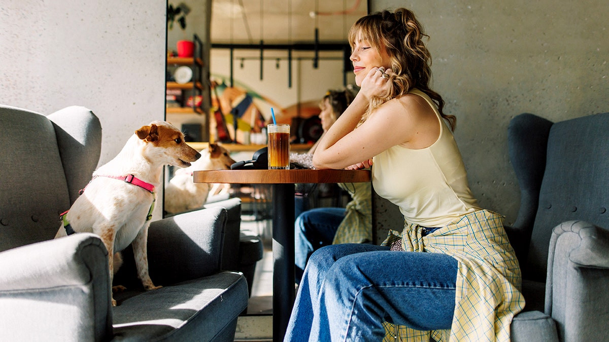 Man confronts woman with forbidden dog inside coffee shop, sparking heated debate  at george magazine