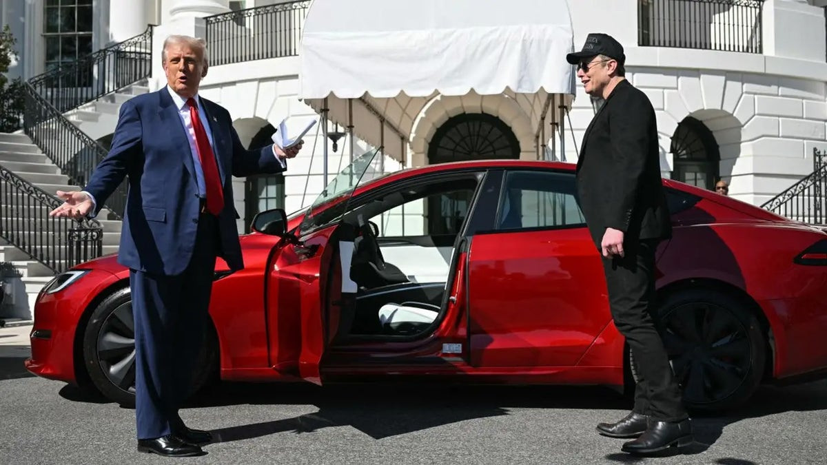 Musk feud presents 'unprecedented' dynamic compared to past Trump disputes: expert  at george magazine