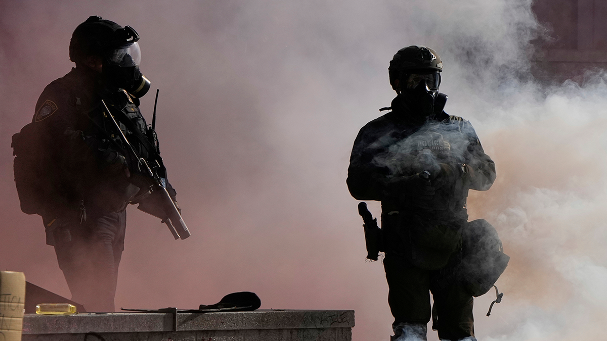 Officers injured as Portland rioters breach ICE building with explosives and rocks  at george magazine