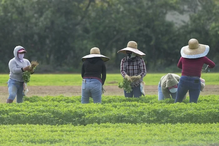 Republicans urge ICE to prioritize arrests of illegal immigrants to those who have committed crimes  at george magazine