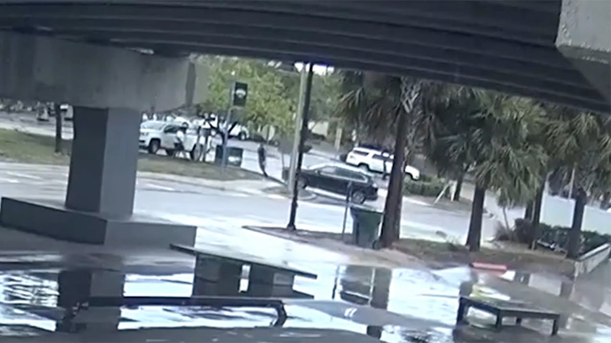 Florida man violently hit by SUV, police say road rage sparked the incident  at george magazine