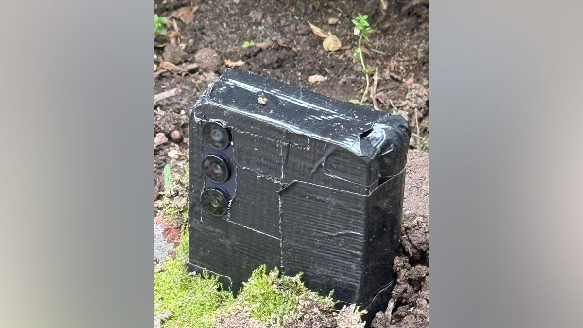 Hidden cameras lurking in your garden might be watching your every move, officials say  at george magazine