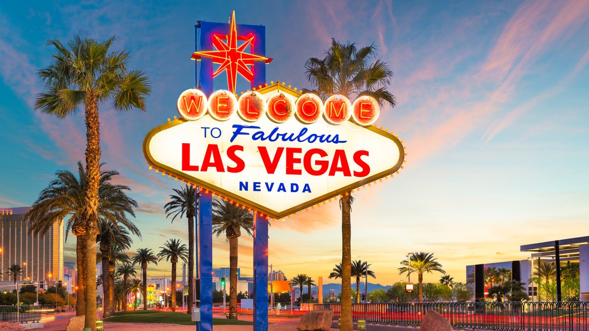 Bedbug 'massacre' at Las Vegas hotels leads to multiple lawsuits from guests with 'injuries'  at george magazine