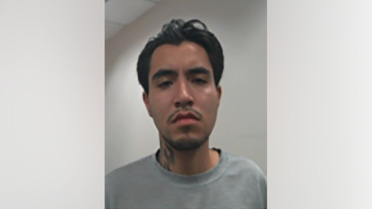 Illegal alien charged with attempted murder for throwing Molotov cocktail at officers in LA riots: DHS  at george magazine