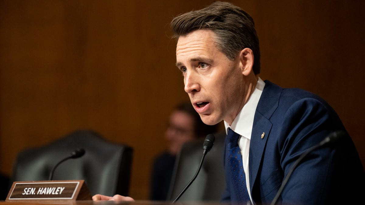 Left-wing advocacy groups in the hot seat as anti-ICE riots trigger investigation: 'Not protected speech'  at george magazine