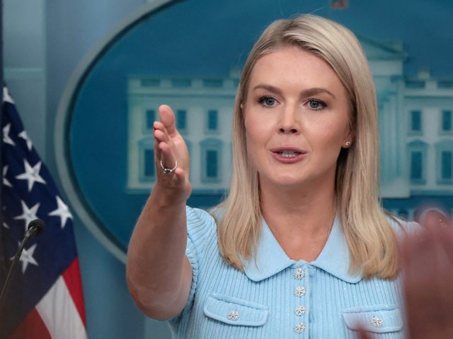 Karoline Leavitt accuses CNN of ‘encouraging violence’ against agents for reports on new ICE tracking app