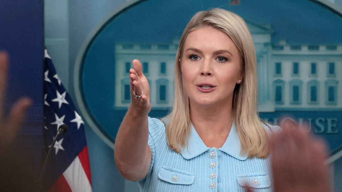 Karoline Leavitt accuses CNN of 'encouraging violence' against agents for reports on new ICE tracking app  at george magazine