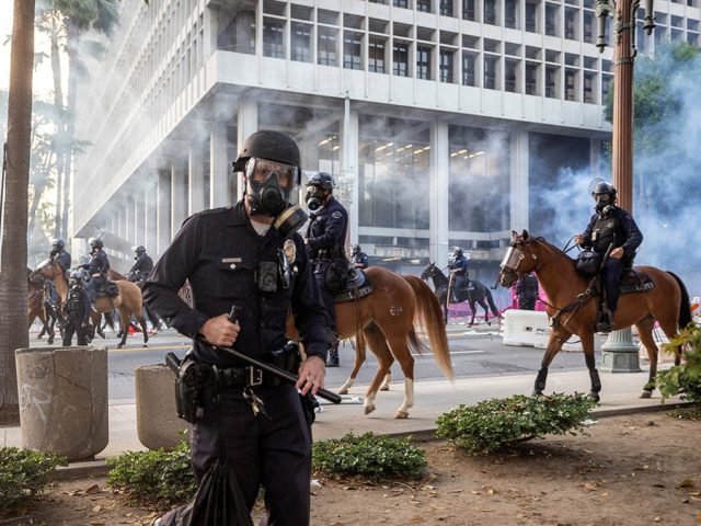 Gov Newsom ‘handcuffed’ police as LA riots expose ‘reactionary’ leadership failure: former sheriff’ s deputy