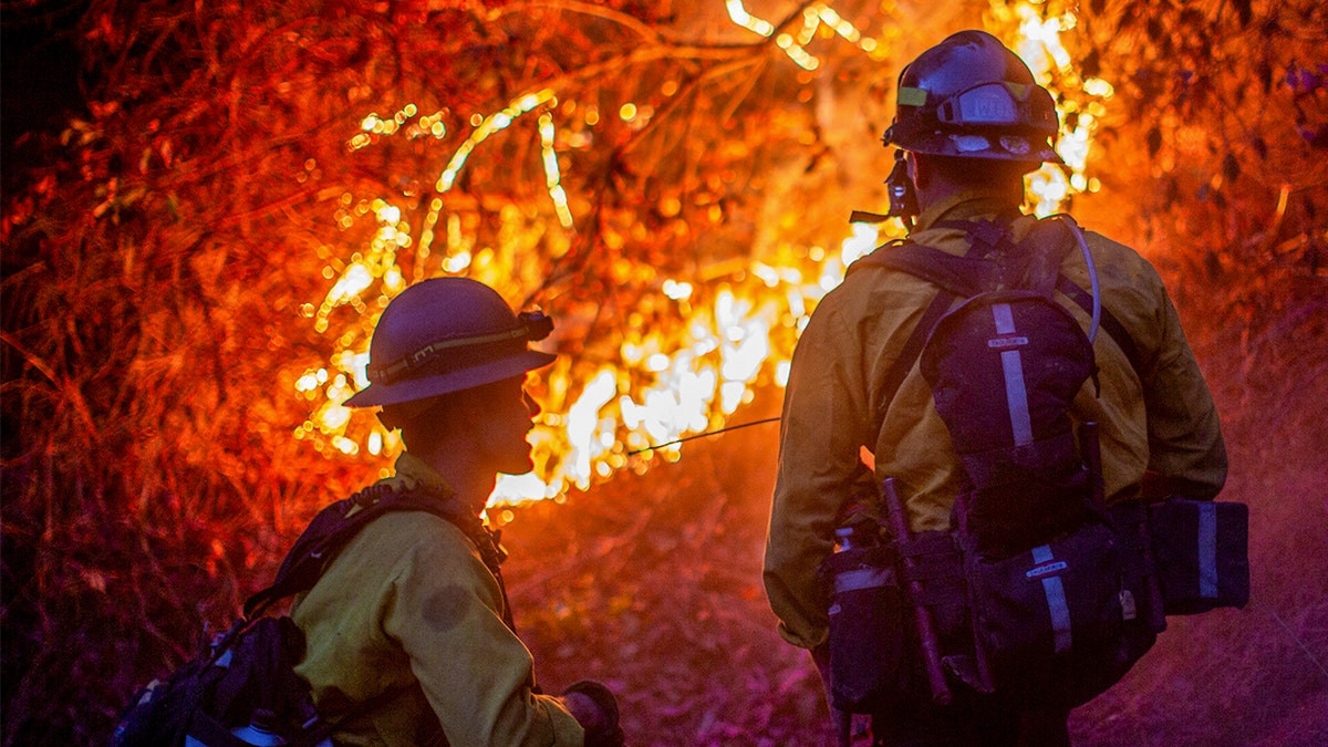 As US braces for ‘significant' wildfires, Trump's agriculture secretary addresses Forest Service departures  at george magazine