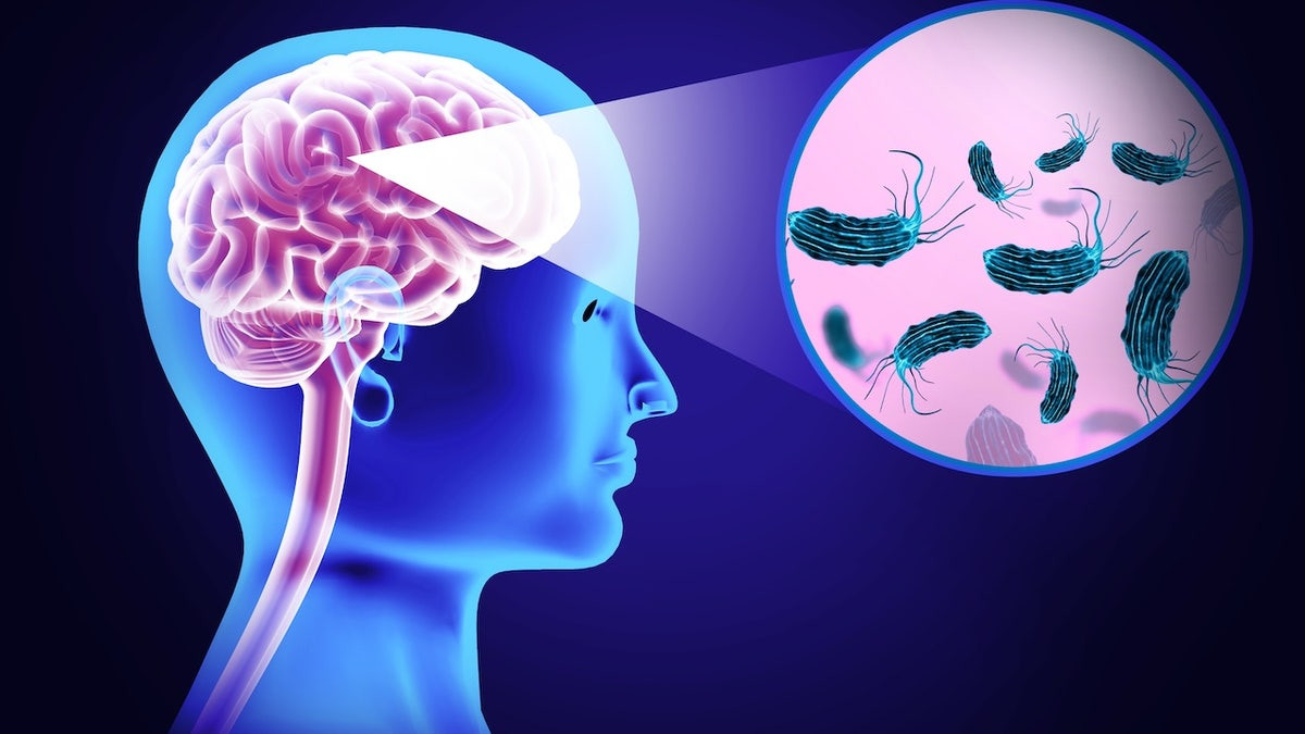 Woman dies of brain-eating amoeba after using tap water in nasal rinse device  at george magazine