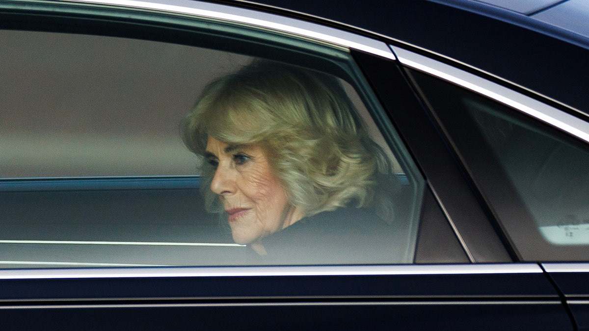 King Charles' rift with Prince Harry deepens as Queen Camilla refuses to intervene: experts  at george magazine