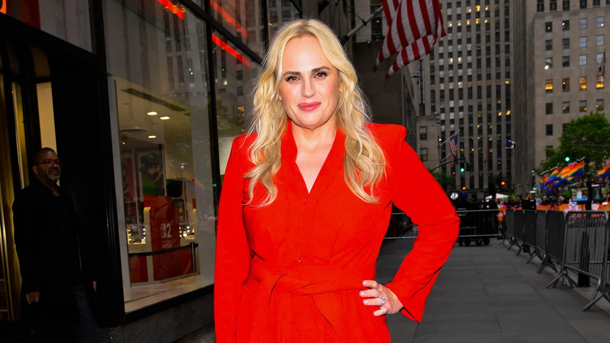 Rebel Wilson suffered terrifying on-set accident that nearly left her 'permanently disfigured'  at george magazine