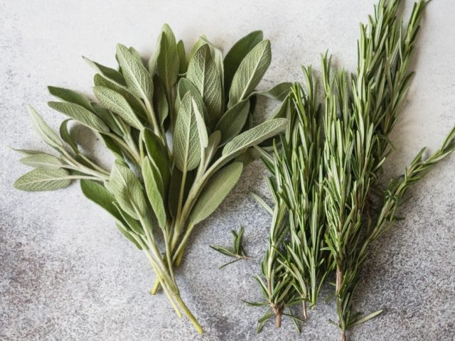 Ingredient in common kitchen herbs could target Alzheimer’s, but don’t change any recipes just yet