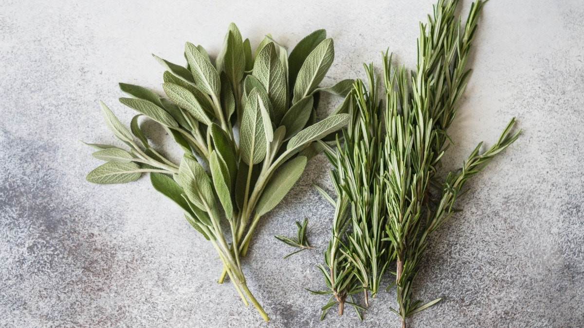 Ingredient in common kitchen herbs could target Alzheimer's, but don't change any recipes just yet  at george magazine