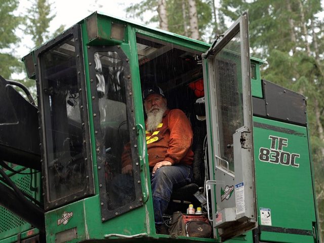 Old fight rekindled between environmentalists and loggers over Trump executive order on timber
