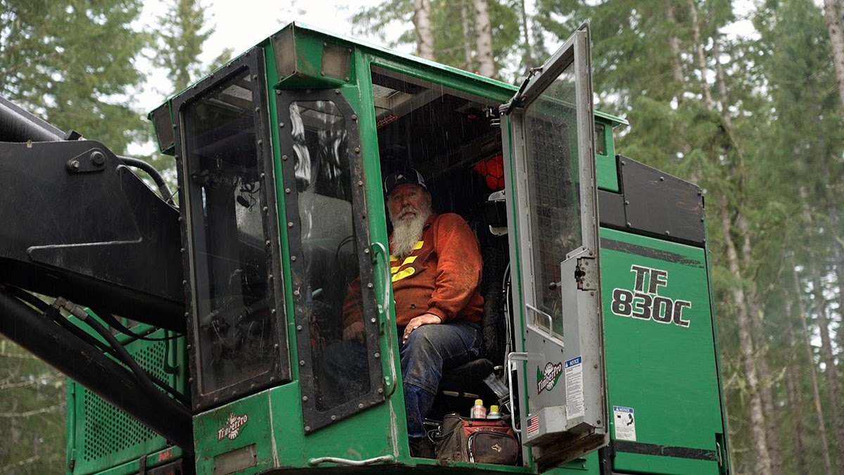 Old fight rekindled between environmentalists and loggers over Trump executive order on timber  at george magazine