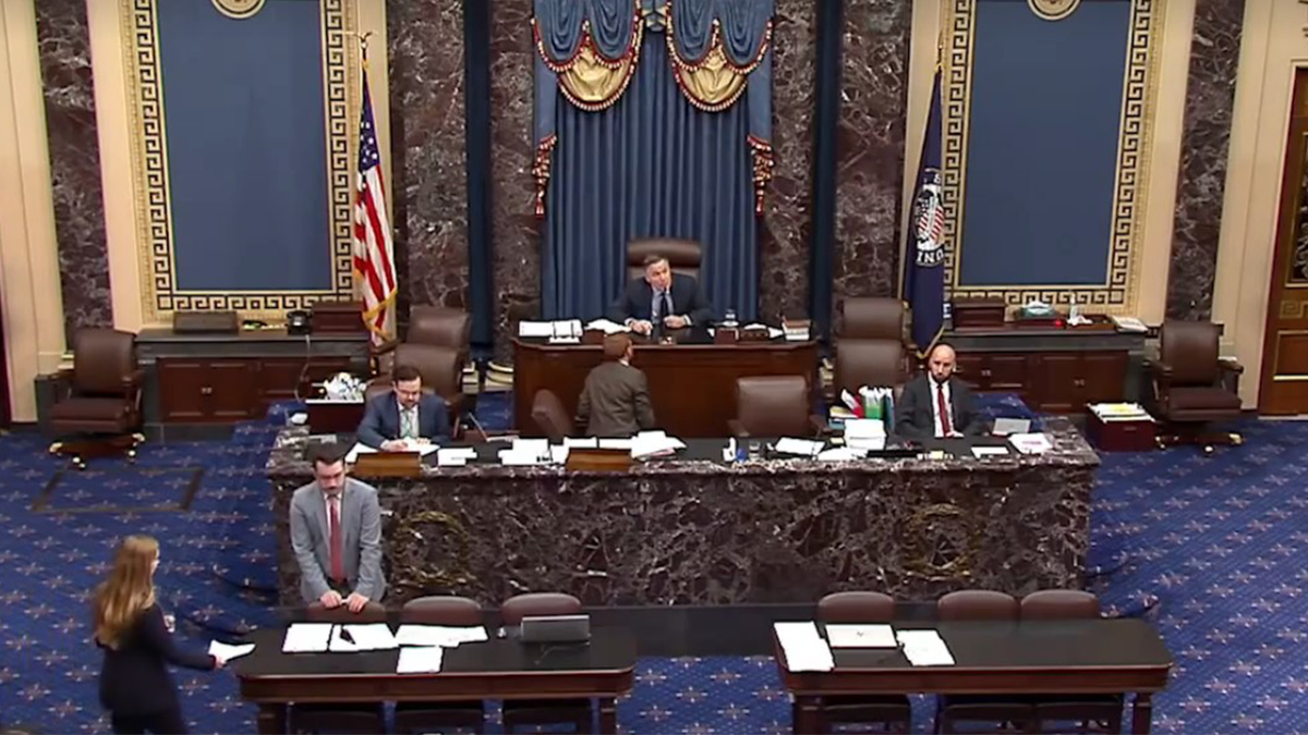 Capitol Police arrest man who disrupted Senate debate on Trump's 'big, beautiful bill': 'You people are awful'  at george magazine