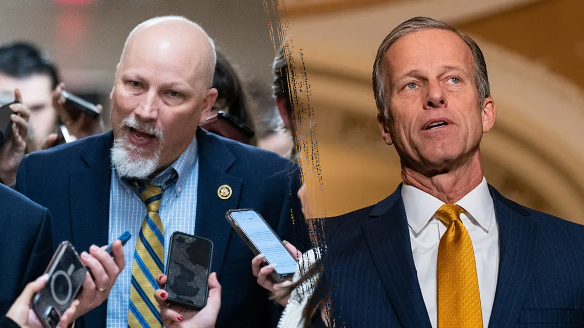 House conservatives go to war with Senate over Trump's 'big, beautiful bill'  at george magazine