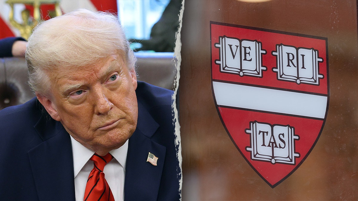 Harvard, University of Toronto make contingency plan to allow foreign students to study if barred from US  at george magazine