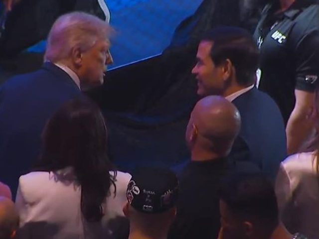 Trump’s UFC 316 appearance draws massive ovation in New Jersey, fighter celebrates with him after win