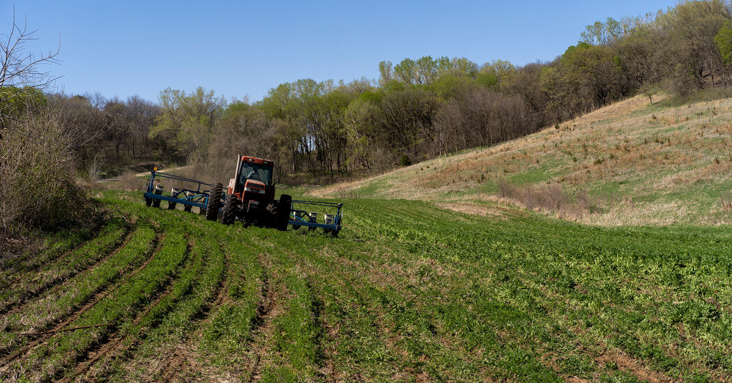 Trump Tariffs on Russia Could Hurt Wary U.S. Farmers  at george magazine